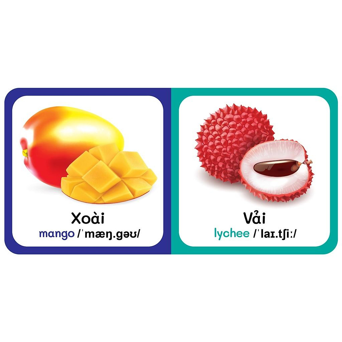 Sách - Baby'S First Picture Dictionary - Từ Điển Bằng Hình Đầu Tiên Của Bé - Trái Cây - Fruits
