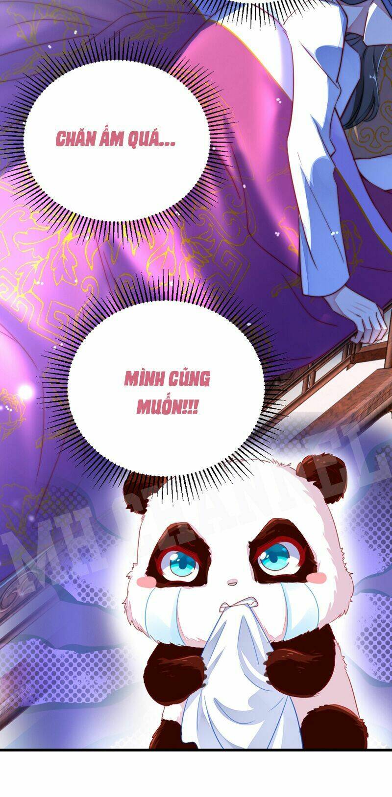 thiên thần gấu trúc muốn được ôm chapter 15 6
