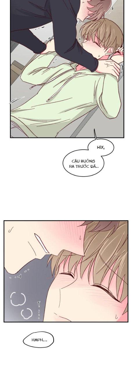 món tráng miệng của sếp tổng chapter 55 22