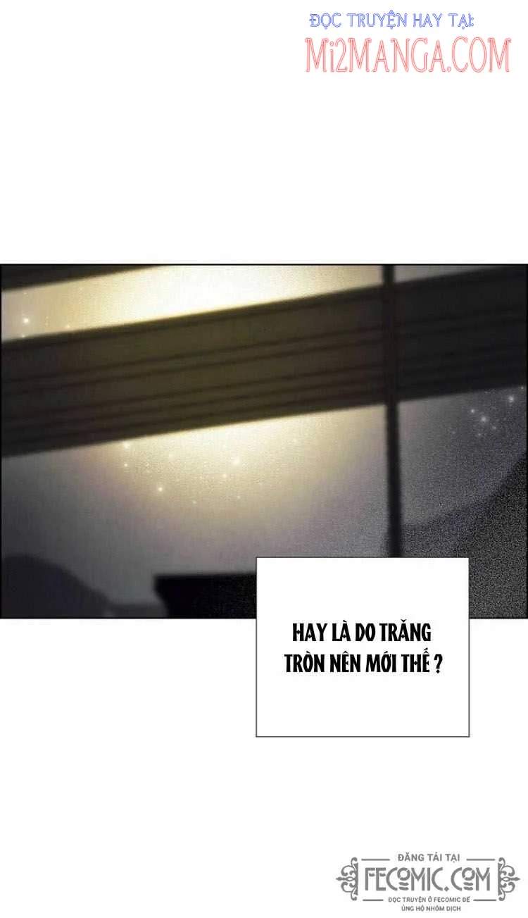 tôi đã cướp mất đêm đầu tiên của nam chính chapter 74.5 25