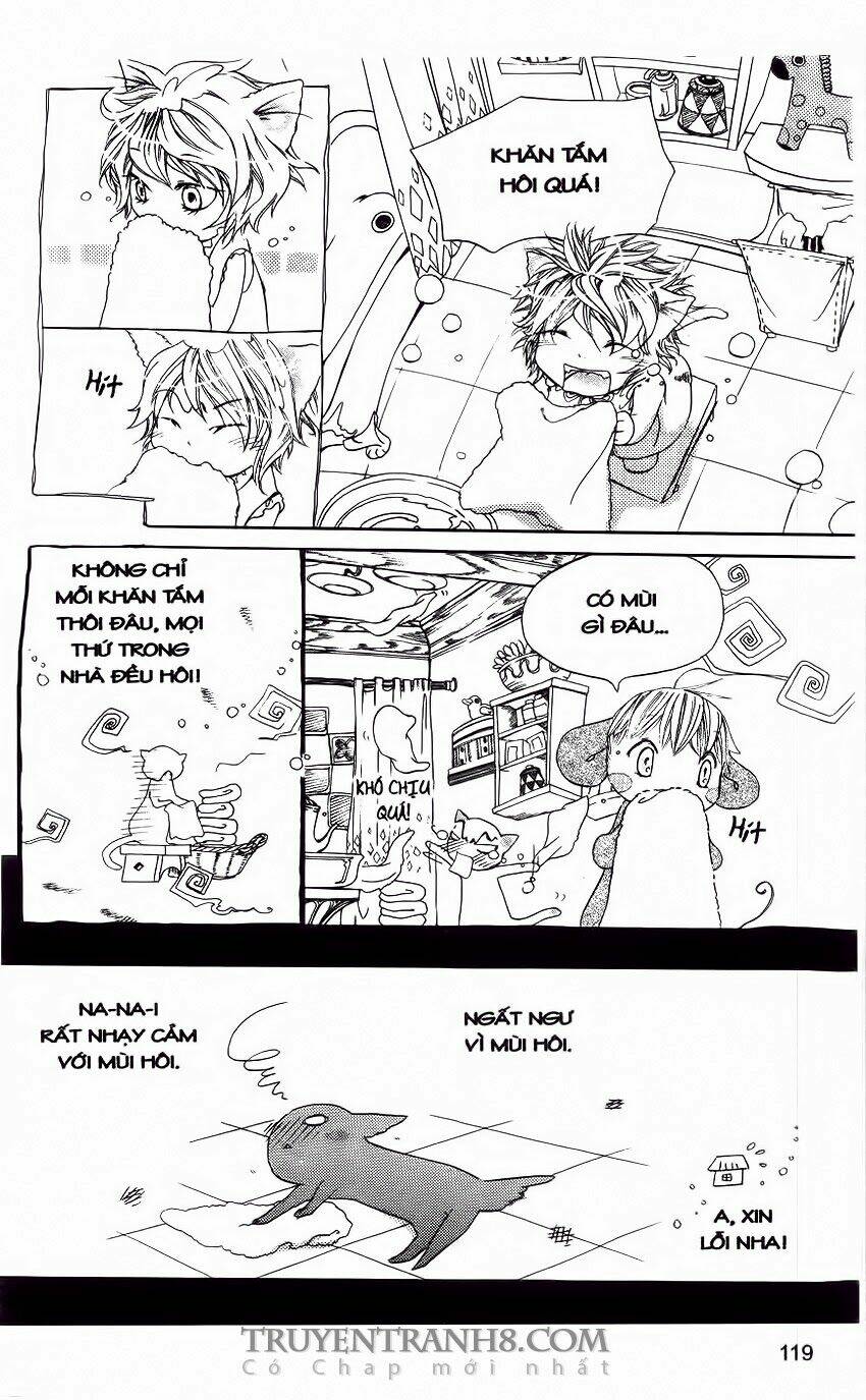 những ngày tươi đẹp chapter 14 19