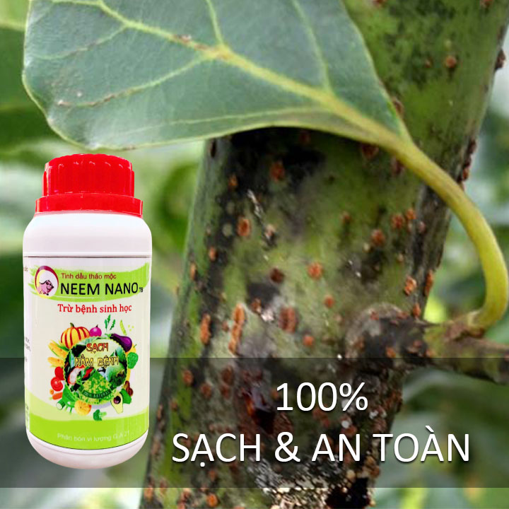 VƯỜN SINH THÁI - Thuốc trừ nấm bệnh sinh học neem nano. Quét sạch thán thư, rỉ sắt, thối nhũn, đốm đen, héo xanh, phấn trắng. 100% Thiên Nhiên