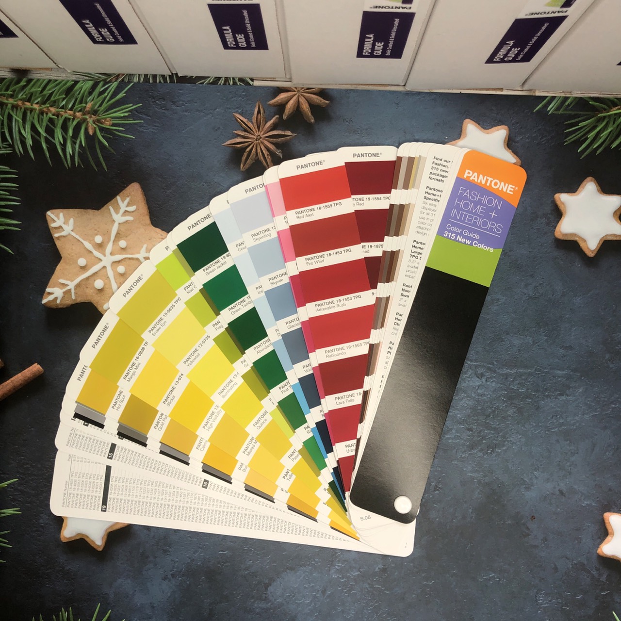 FHIP120A - Bộ bảng màu Pantone TPG - Fashion Home interiors Color Guide Specifier Suplement - Bổ sung 315 màu TPG mới năm 2020 cho Pantone FHIP110N (2310 màu cũ) - Hàng nhập khẩu từ Mỹ