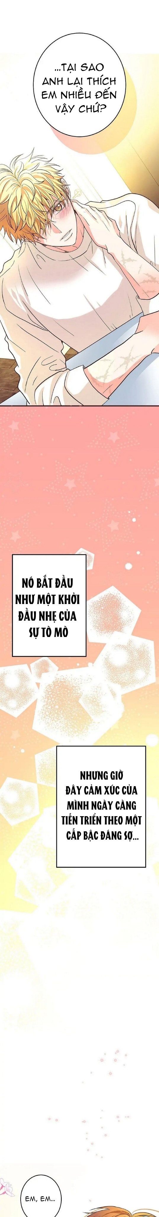 mối quan hệ phù hợp chapter 12 24