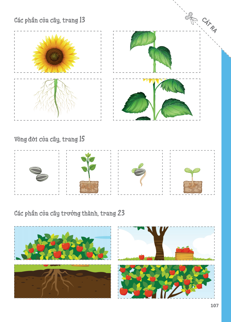 Cuốn Sổ Lớn Montessori - Về Khám Phá Thế Giới