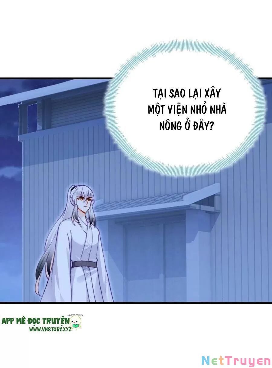 lại bị bệnh chiều chuộng quấn lấy chapter 69 25