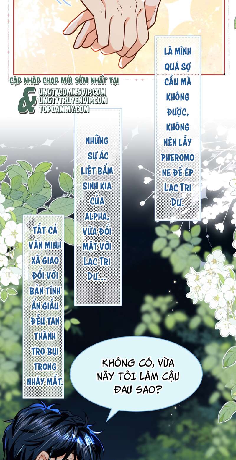 tín tức tố nói chúng ta không thể chapter 67 16