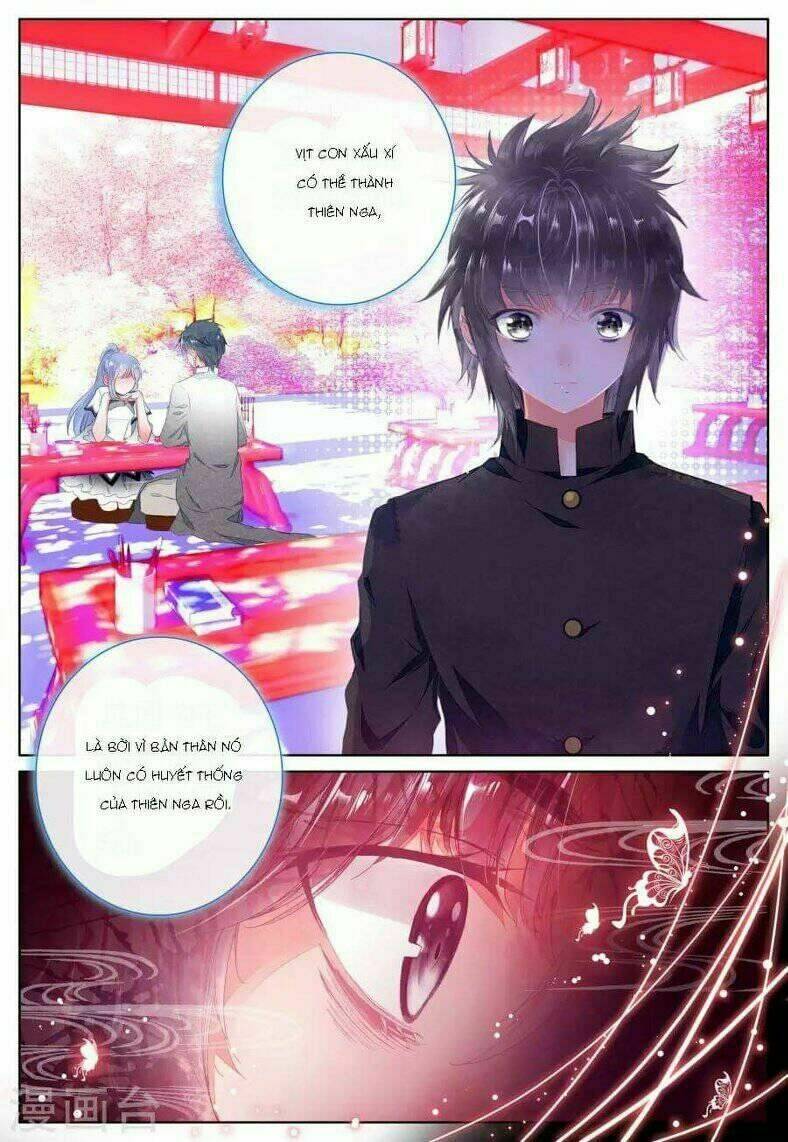 sóc nguyệt chapter 5 18