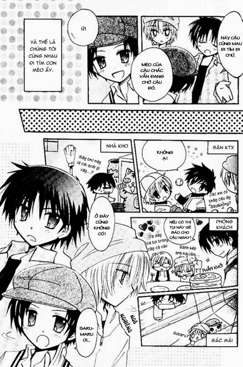 boku x neko? chapter 4 19