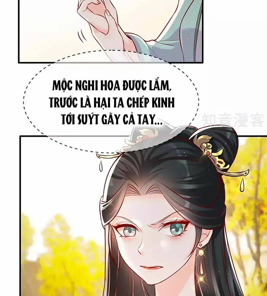 gian phi như thử đa kiều chapter 24 6