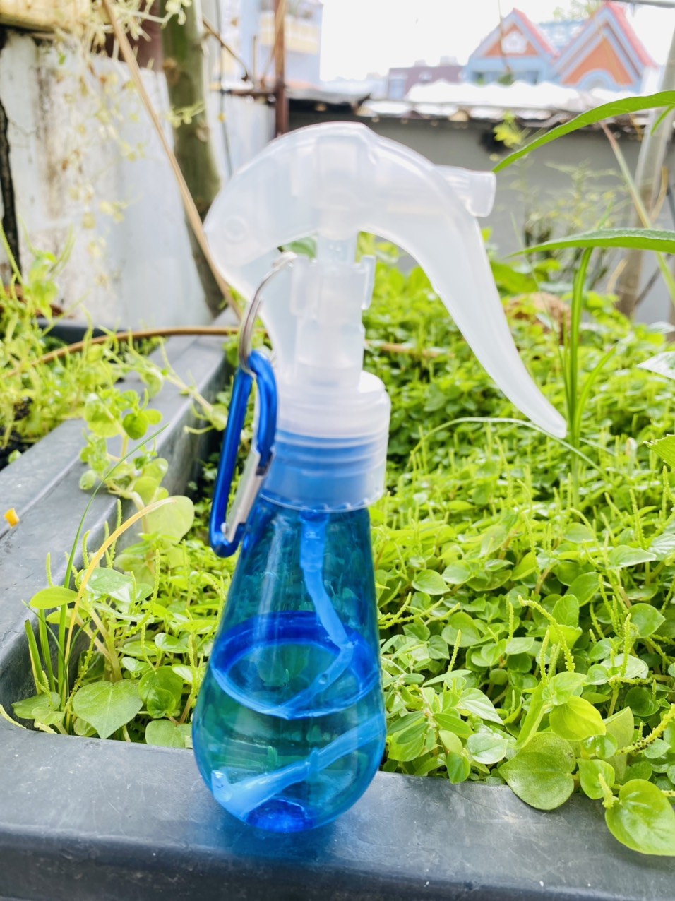 Bình xịt khuẩn mini tiện lợi