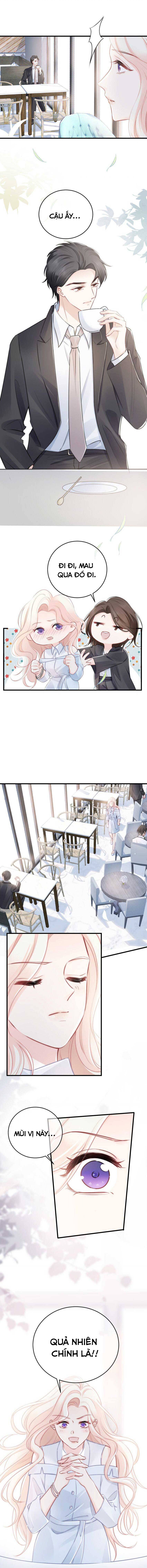 ngôn tiếu loan loan chapter 12 5