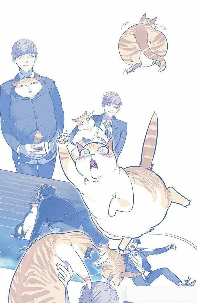 biến thân thành mèo chapter 9 17