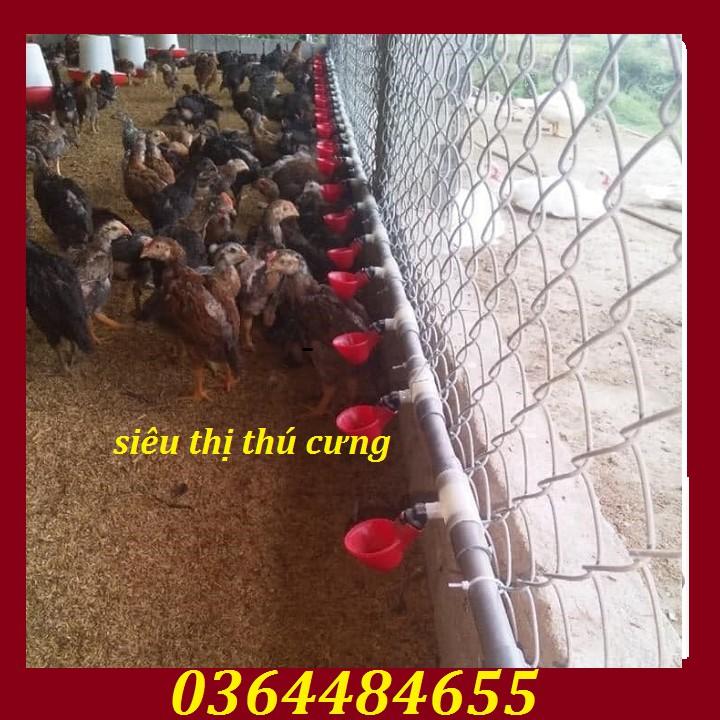 Combo 5 máng uống nước cho gà-núm uống cho gà-máng uống màu đỏ tự động
