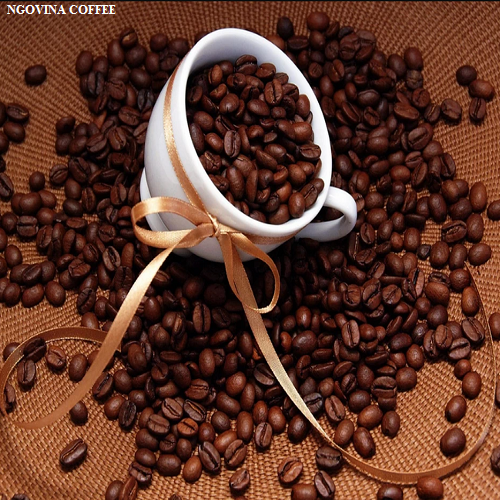 Cà Phê Ngovina - Mocha – MoKa Cầu Đất