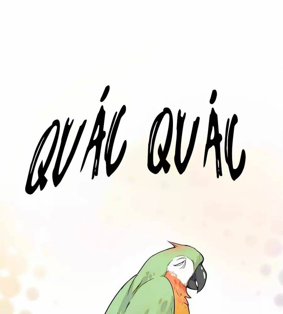 huyết túc khế ứớc chapter 5 17