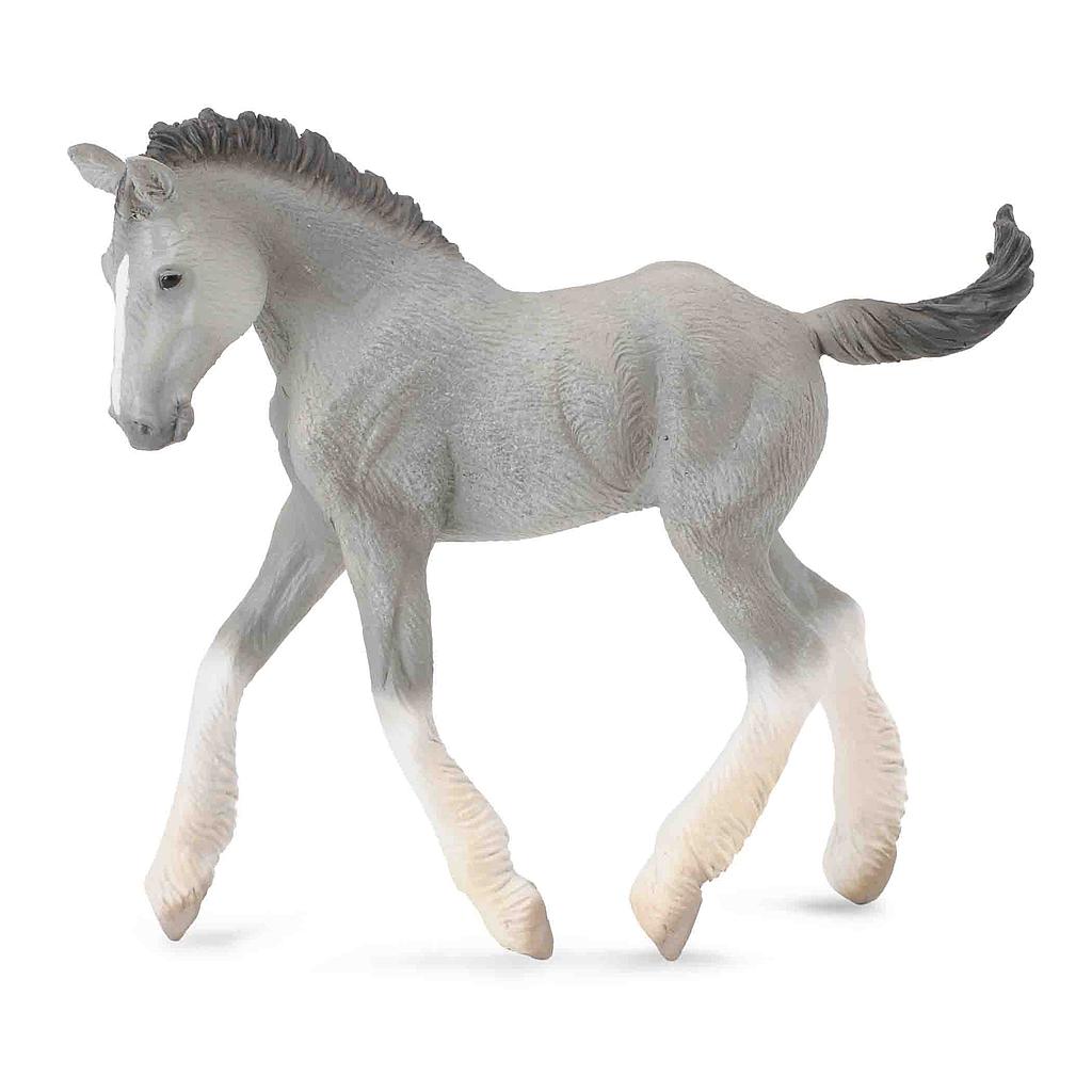 Mô hình thu nhỏ: Ngựa Shire con - Shire Horse foal - Grey, hiệu: CollectA, mã HS 9650091 - Chất liệu an toàn cho trẻ - Hàng chính hãng