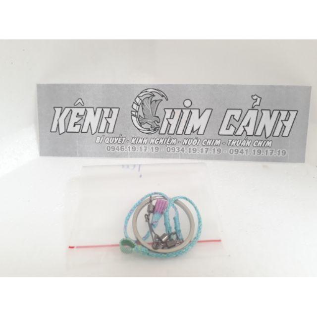 Dây xích chân thuần chim chòe lửa