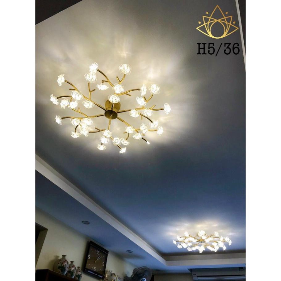 Đèn Ốp Thả Trần Pha Lê Hoa Mai Mẫu Mới Hiện Đại Sang Trọng Trang Trí Phòng Khách