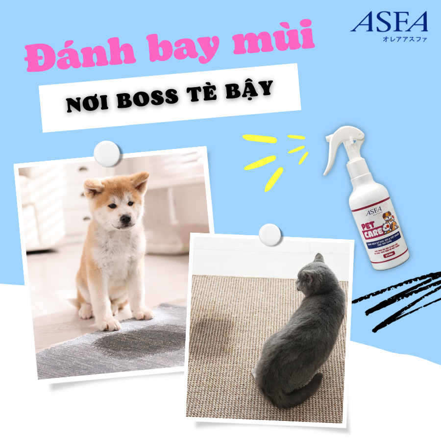 Xịt Khử Mùi, Diệt Khuẩn An Toàn Cho Thú Cưng ASFA Pet Care 250ml