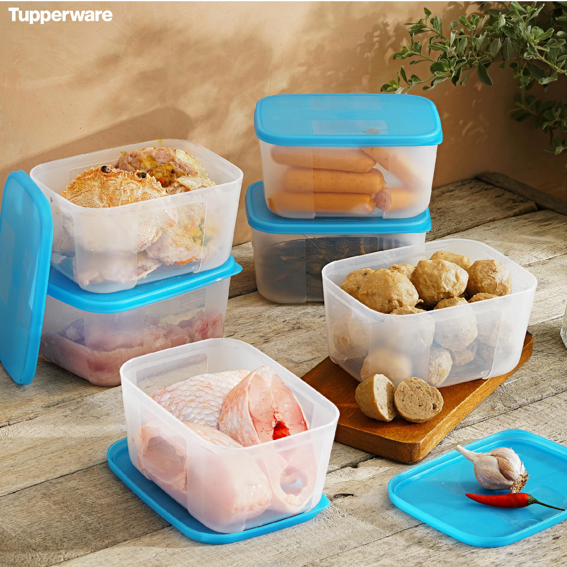 Bộ Hộp Trữ Đông Tupperware Freezermate Basic 650ml (6 Hộp)