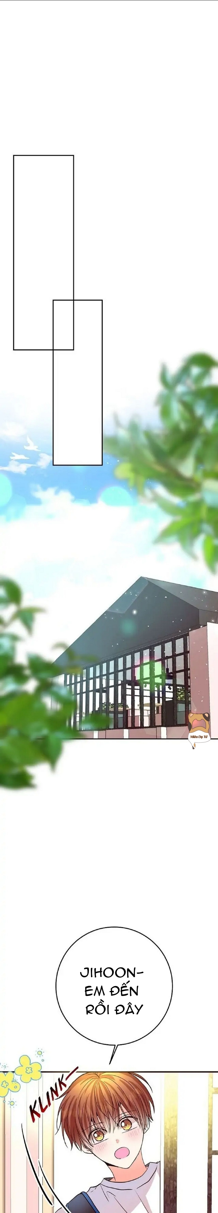 mối quan hệ phù hợp chapter 19 24