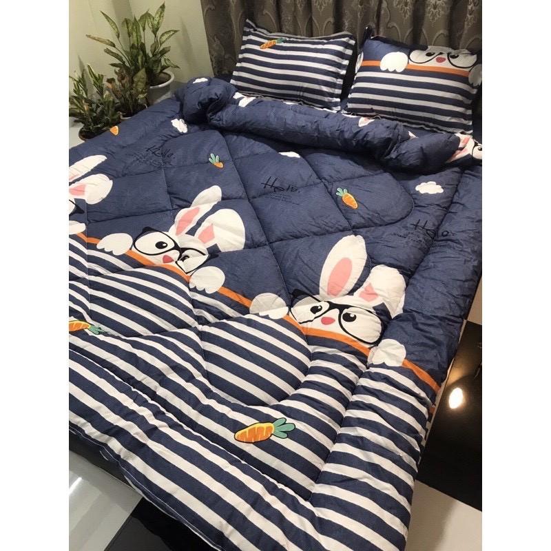 Bộ 5 món chăn ga gối chăn bông cotton poly hàng việt nam xuất khẩu
