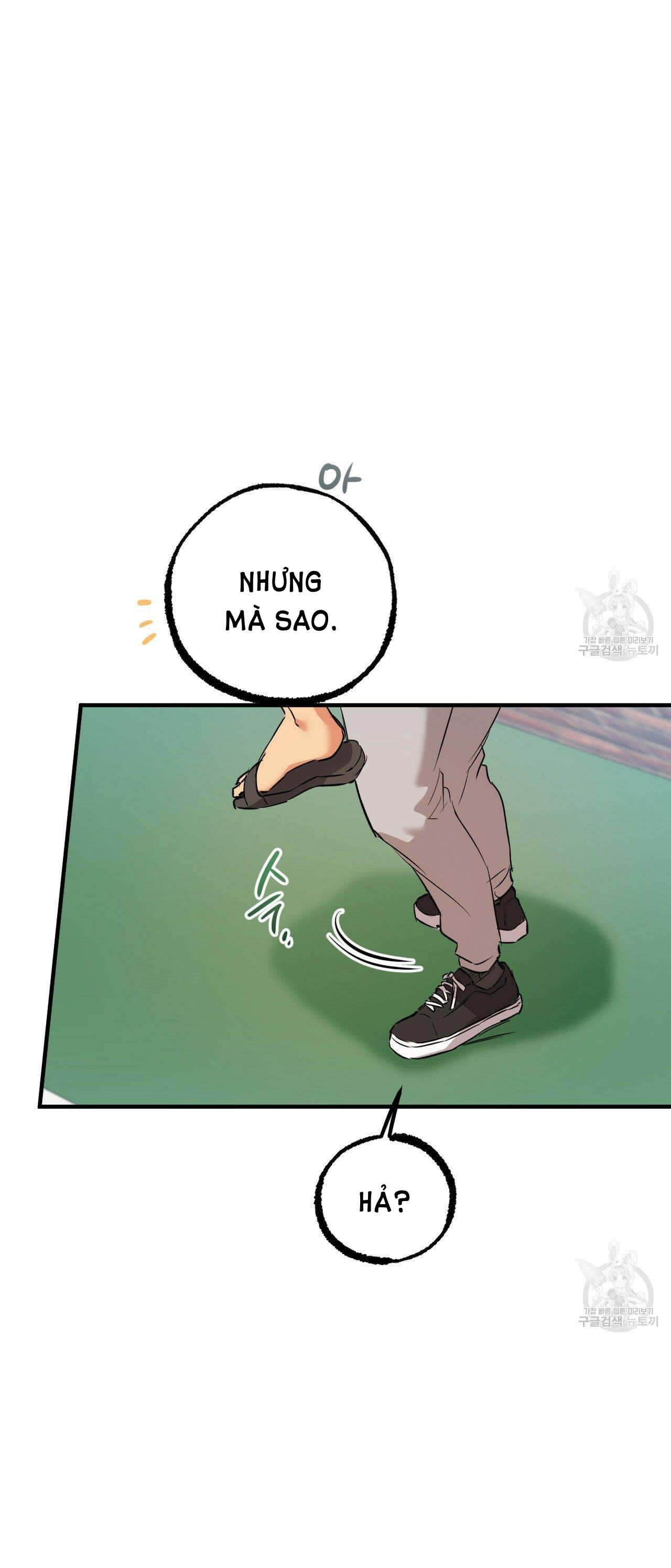 những chú thỏ của hapypy chapter 53.2 22