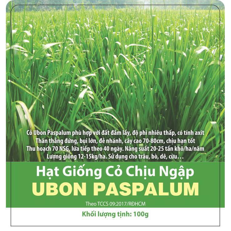 Hạt giống cỏ chăn nuôi Ubon Paspalum - Cỏ xả chịu ngập gói 1kg