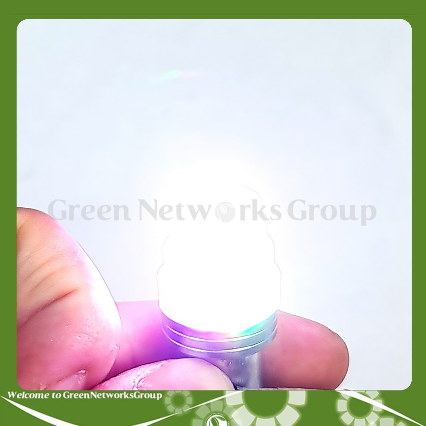 Đèn led hậu nháy Ô tô xe máy chớp nháy Led 7 màu chân M5 2 chế độ Green Networks Group ( 1 cái )