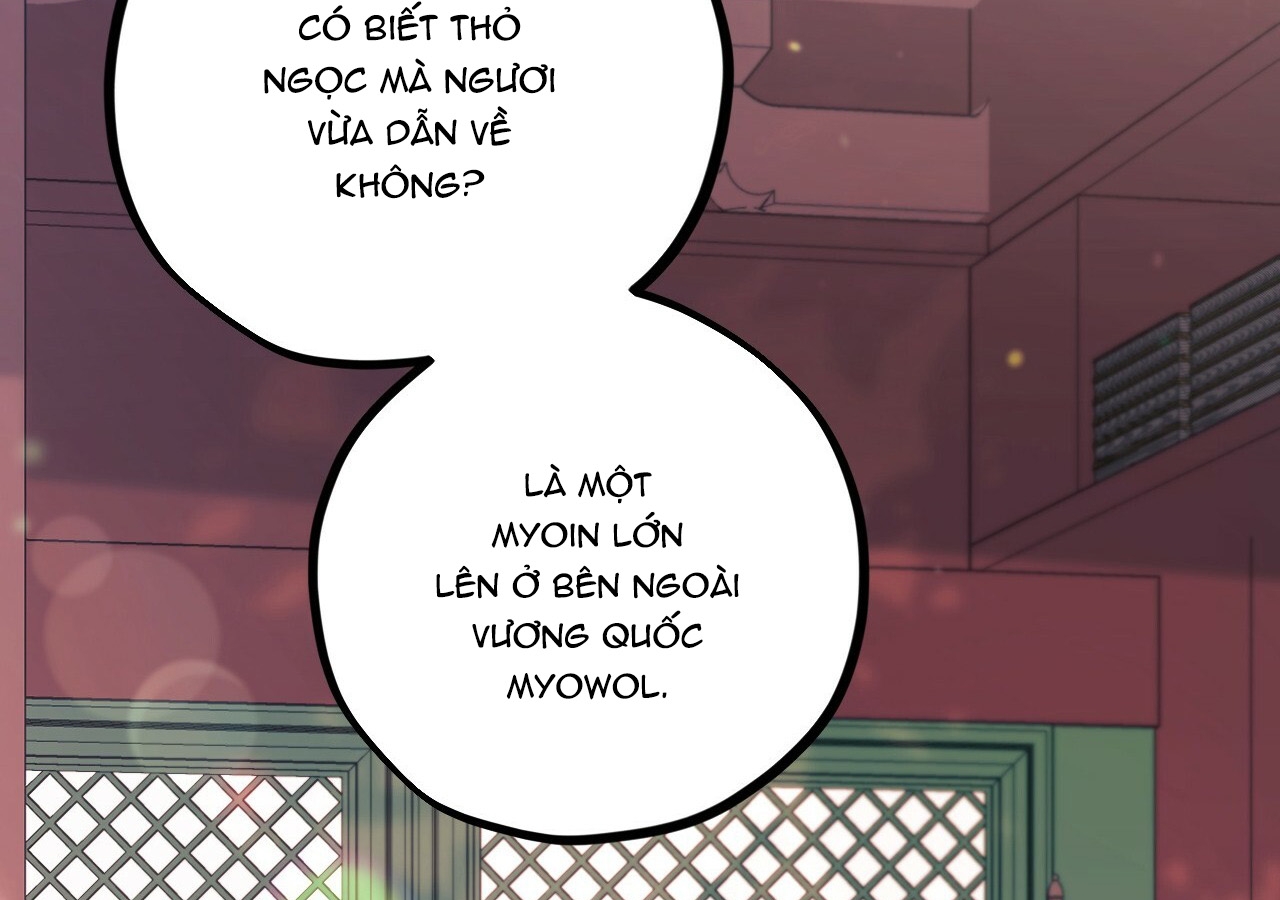 đàn thỏ của habibi chapter 21 203