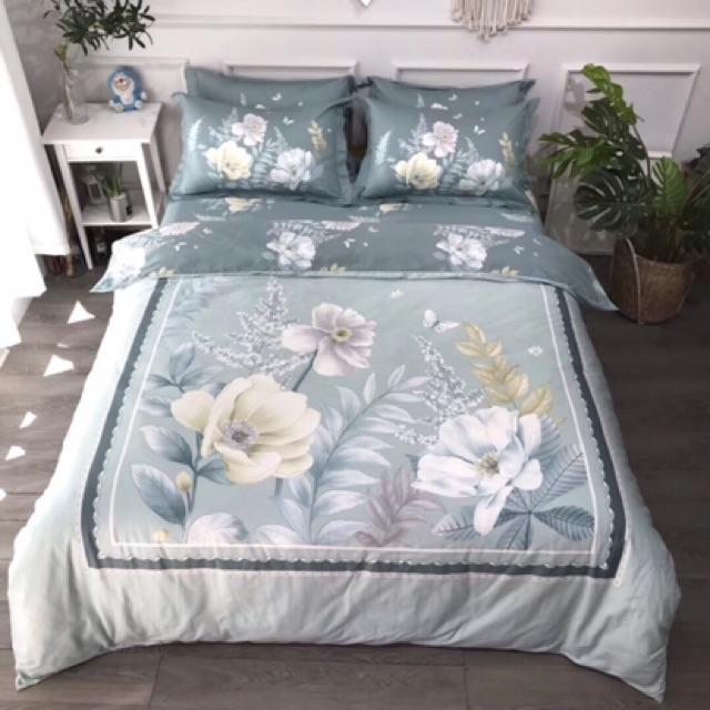 Set Ga Gối Cotton Organic Hàng Nhập Khẩu Cao CẤp 4 Món
