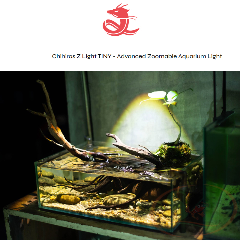 Đèn rọi Chihiros Z Light Tiny led rọi chiếu điểm bể bán cạn biotop cá tép thủy sinh