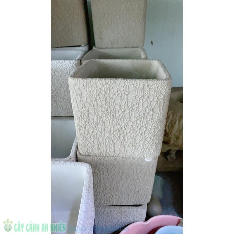 Chậu Trồng Cây 11x11Cm