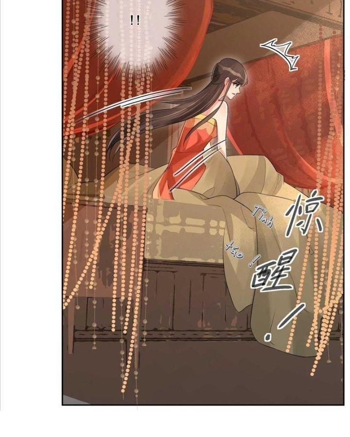 lấy thiên hạ làm sính lễ: vương phi lại trêu ta chapter 2 19