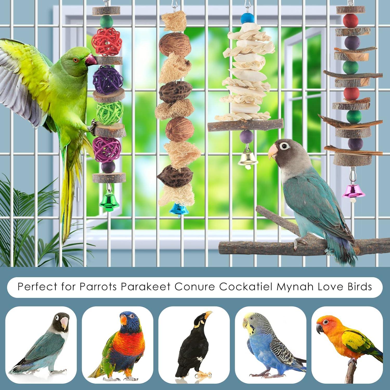 5 chiếc parakeet gỗ tự nhiên đồ chơi parrot treo g g chim cá rô cho chim nhỏ
