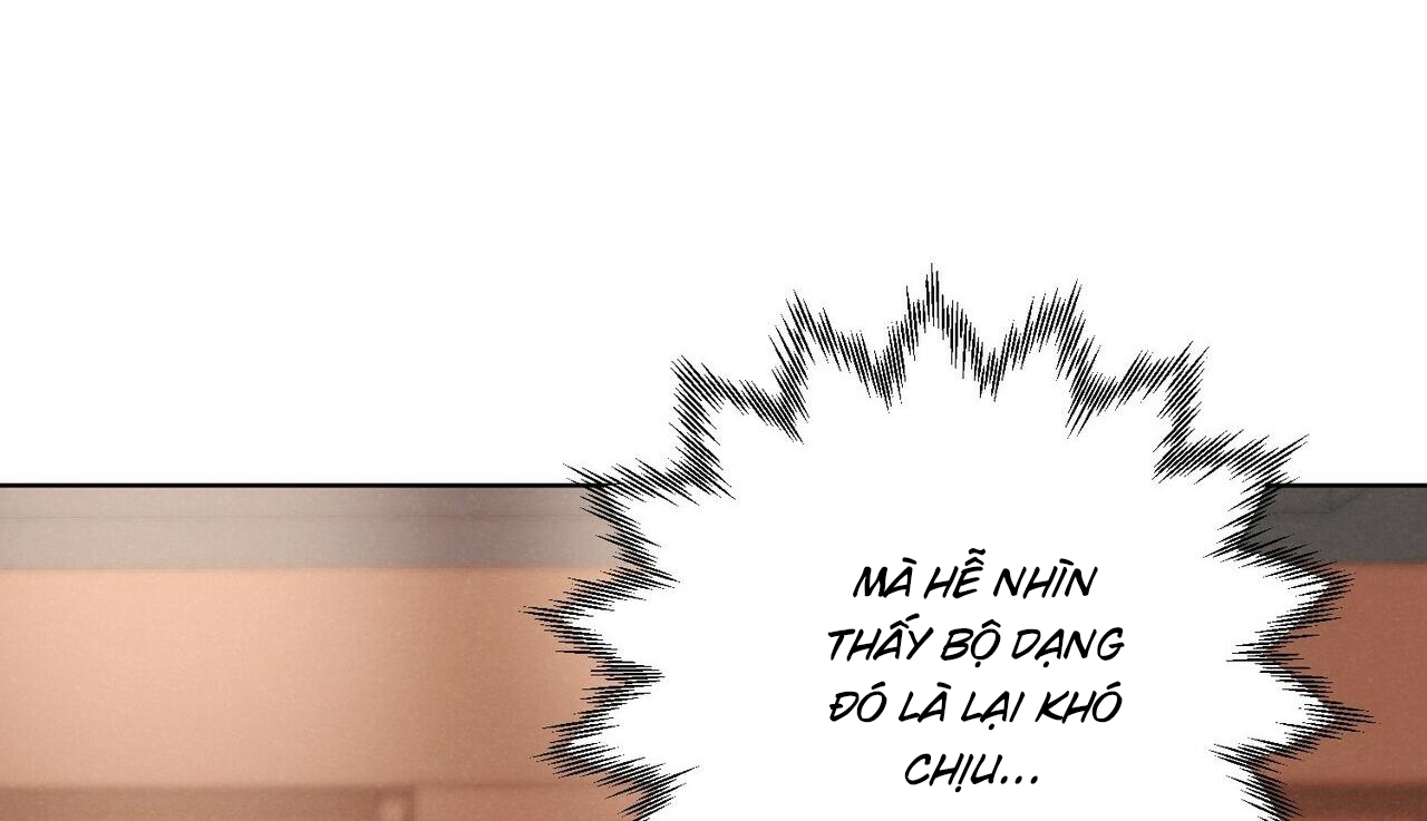 chàng dâu nhà họ kang chapter 27 86