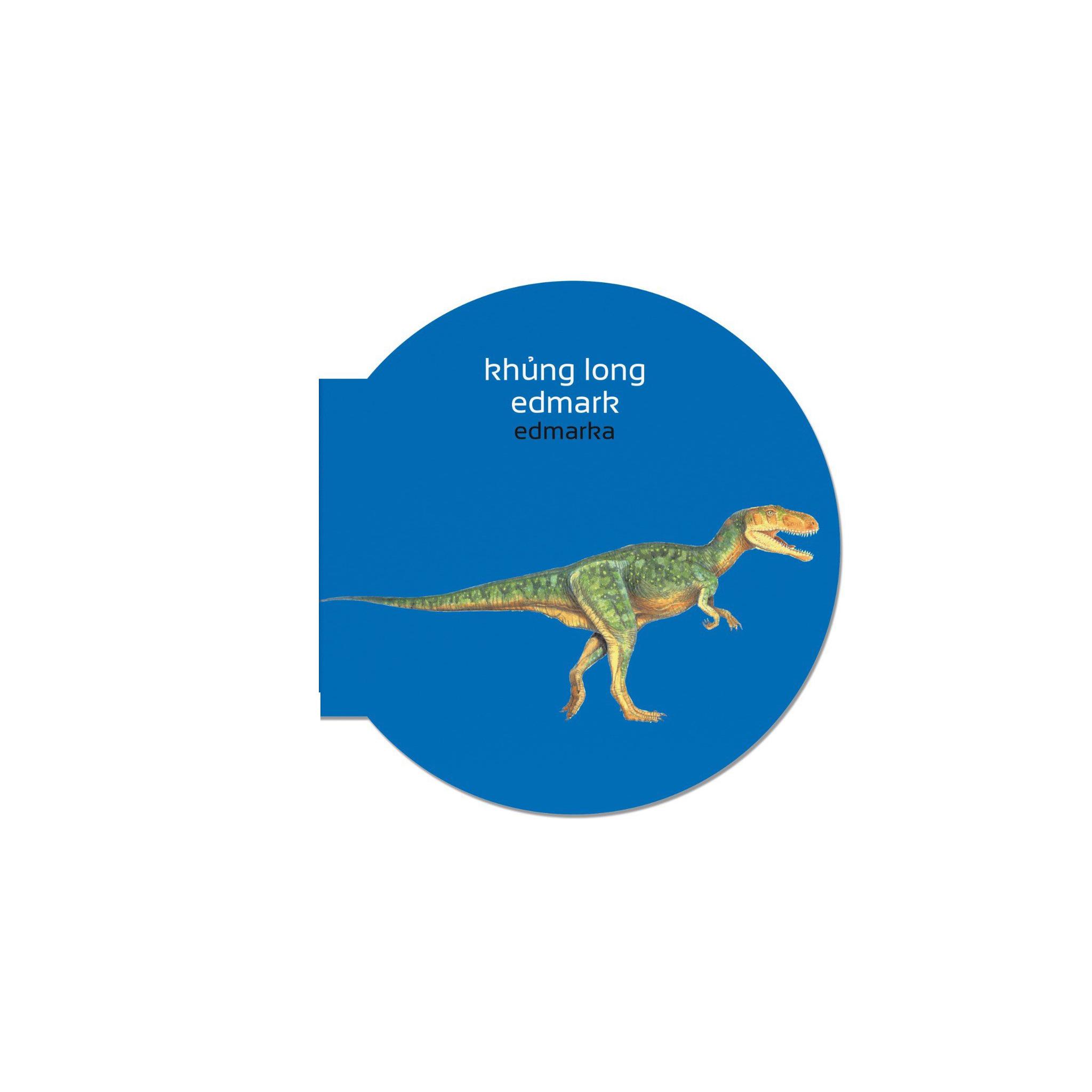 Picture Dictionary - Từ Điển Bằng Hình - Dinosaurs - Khủng Long - Bìa Cứng