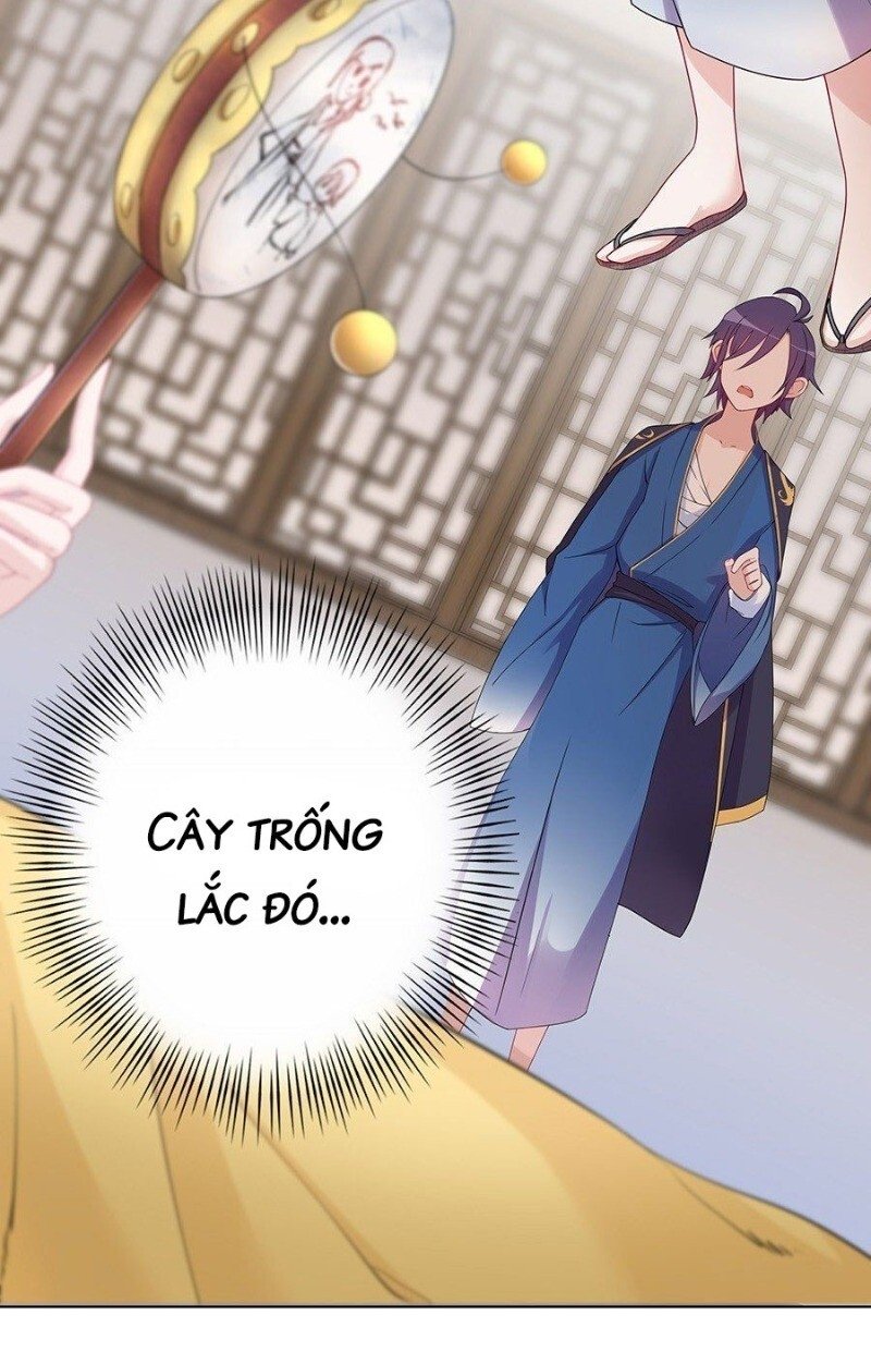 lầu trà thủy sinh mộng chapter 31 32