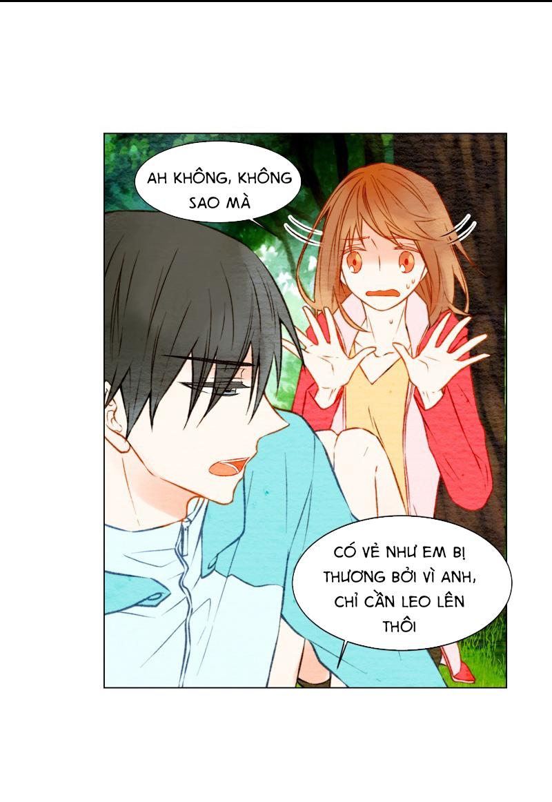 sao chép chapter 13 22