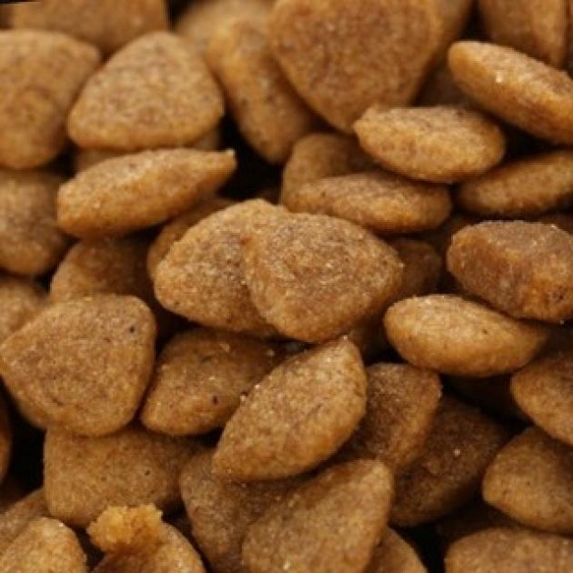 Thức ăn hạt cho mèo Catsrang - Túi 5kg