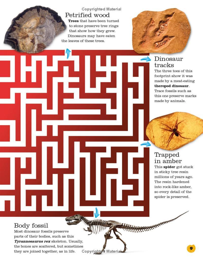 Sách ngoại văn: Everything You Need To Know About Dinosaurs