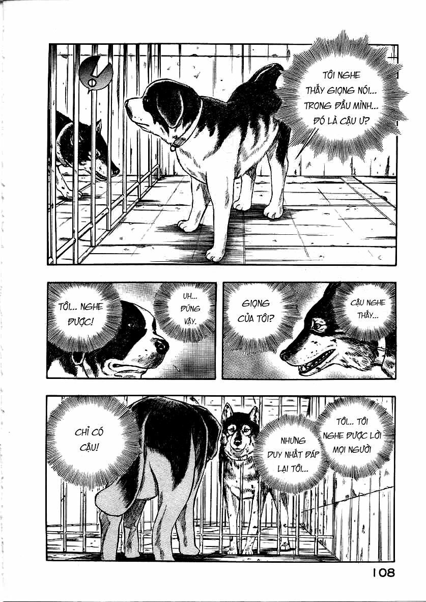 inugami chapter 12 26