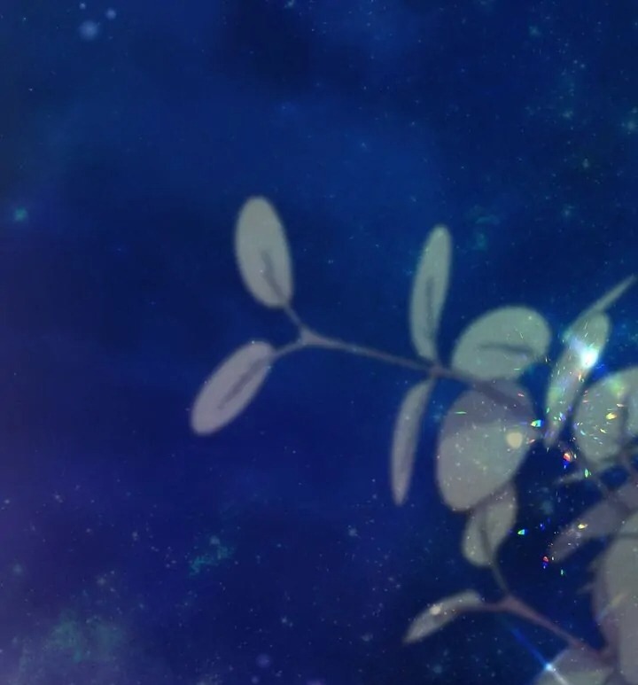 nuôi chồng từ bé chapter 73 2