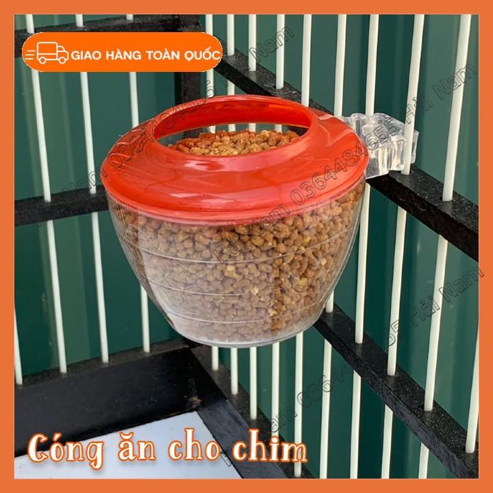 Cóng ăn uống cho chim chào mào , họa my, các loại chim cảnh khác