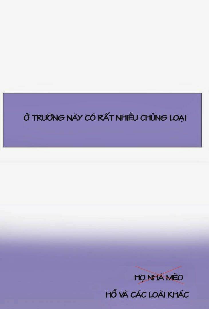 món quà từ chúa chapter 9 40