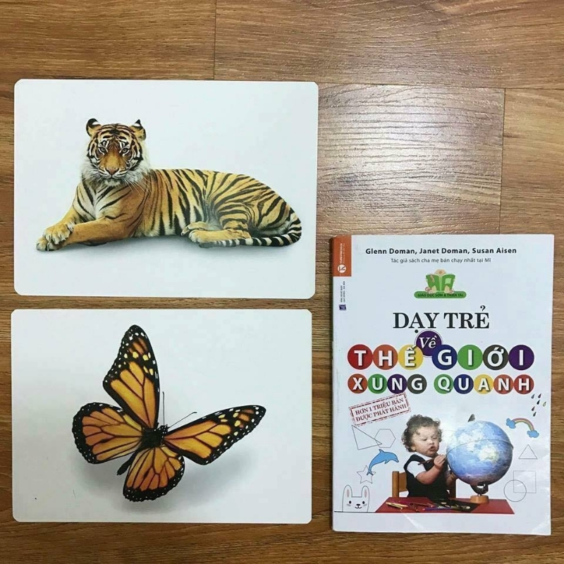 Thẻ Flashcard Glenn Doman Cho Bé - Bộ 300 Thẻ Thế Giới Xung Quanh