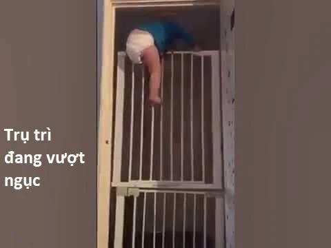 sự lụi tàn của usuzumi chapter 97 147