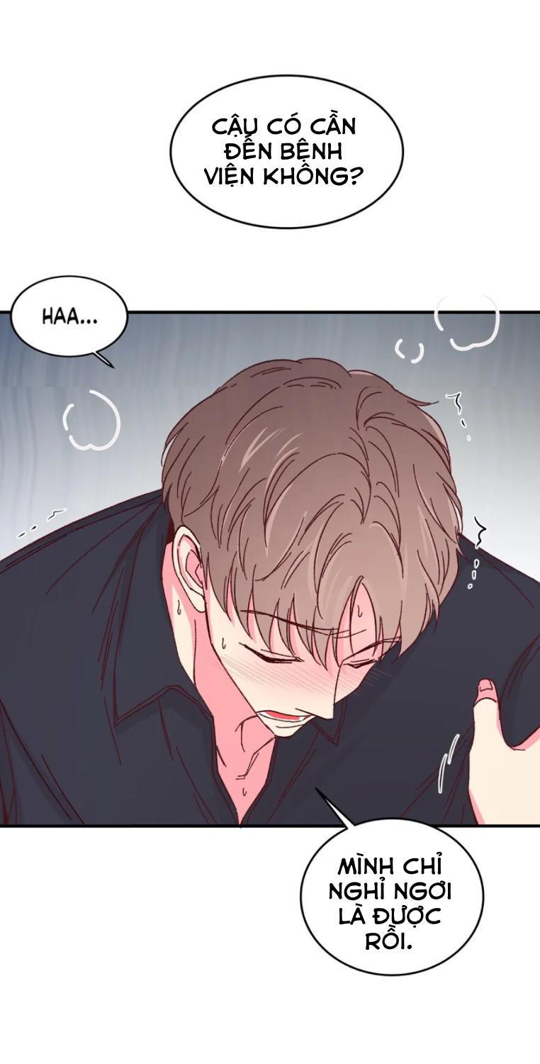 món tráng miệng của sếp tổng chapter 54 34