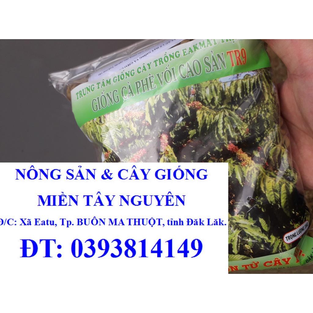 200 GRAM HẠT GIỐNG CÀ PHÊ vối cao sản TR9 .